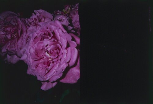 Love on the Left Eye van Nobuyoshi Araki, Fotografie te koop op Singulart
