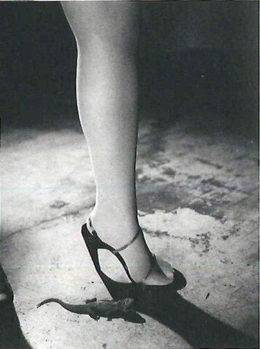 MYTHOLOGY van Nobuyoshi Araki, Fotografie te koop op Singulart