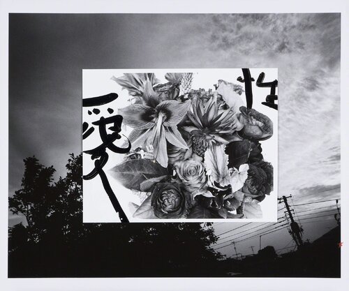 2THESKY my Ender van Nobuyoshi Araki, Fotografie te koop op Singulart