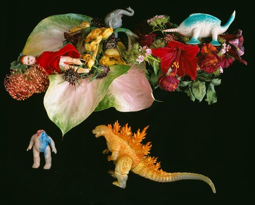 qARADISE van Nobuyoshi Araki, Fotografie te koop op Singulart
