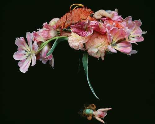 qARADISE di Nobuyoshi Araki, Fotografia in vendita su Singulart