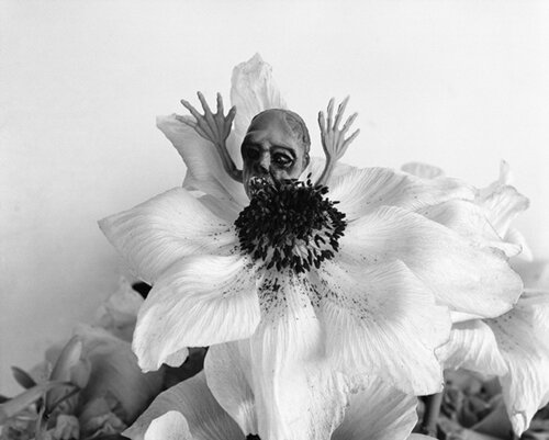 Love-Dream, Love-Nothing #010 di Nobuyoshi Araki, Fotografia in vendita su Singulart