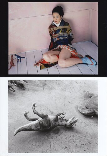 It was once a paradise (edition of 10) di Nobuyoshi Araki, Fotografia in vendita su Singulart