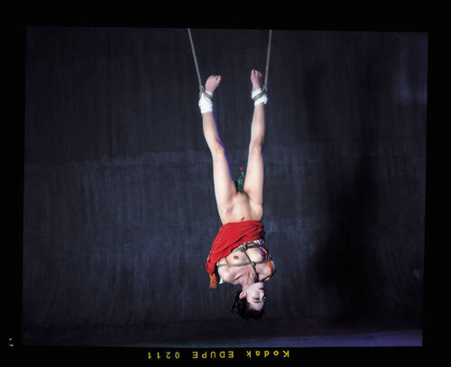 67 Shooting Back (GDN041) di Nobuyoshi Araki, Fotografia in vendita su Singulart