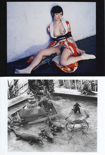 It was once a paradise (edition of 10) di Nobuyoshi Araki, Fotografia in vendita su Singulart