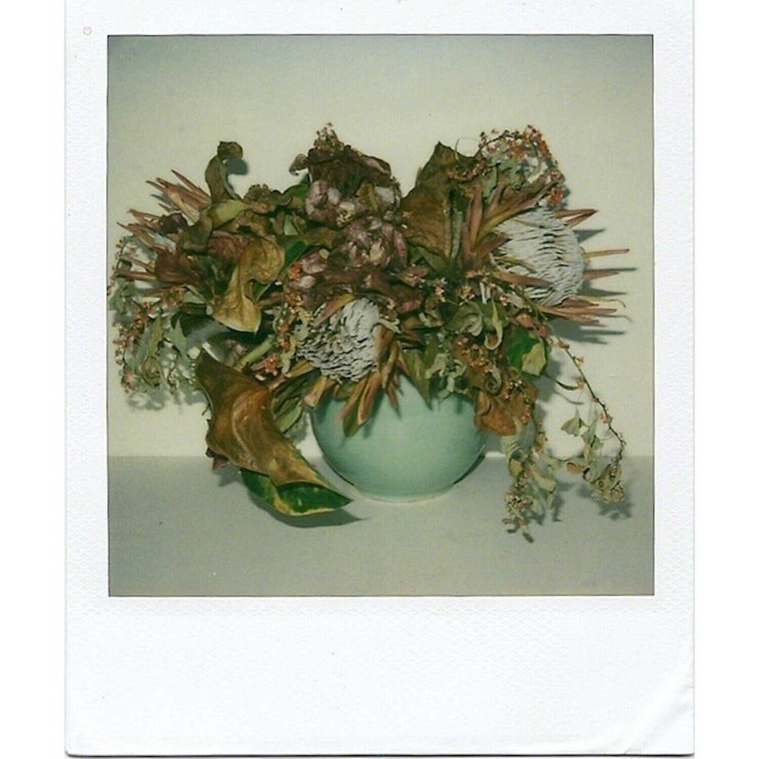 Still Life Nobuyoshi Araki