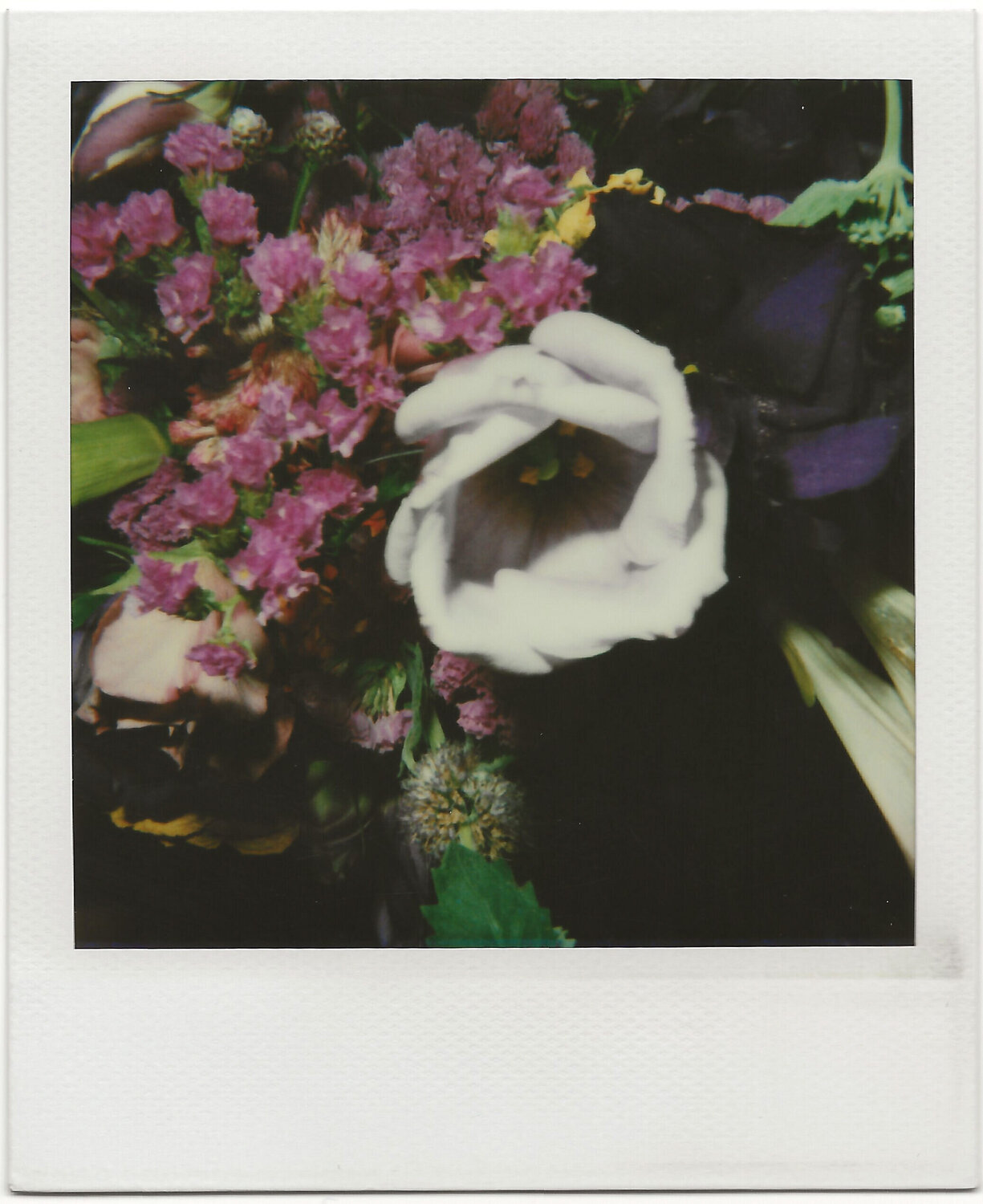 Polaroid Nobuyoshi Araki