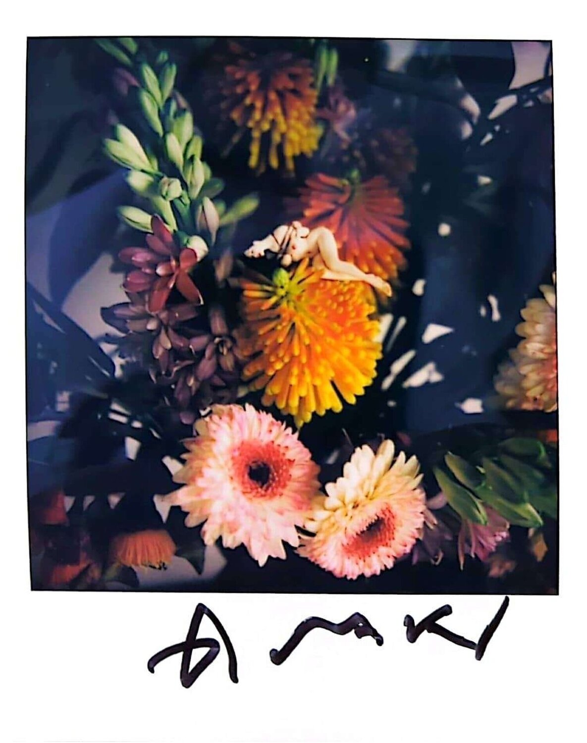 UNTITLED 25 Nobuyoshi Araki
