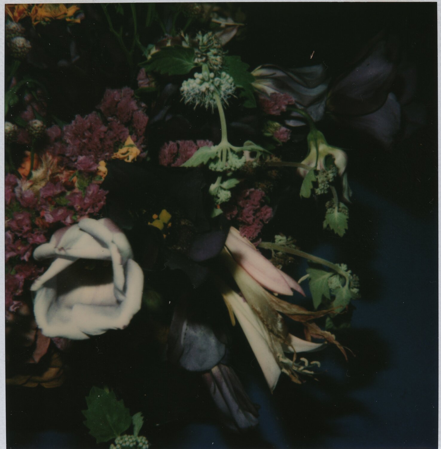 Flower Nobuyoshi Araki