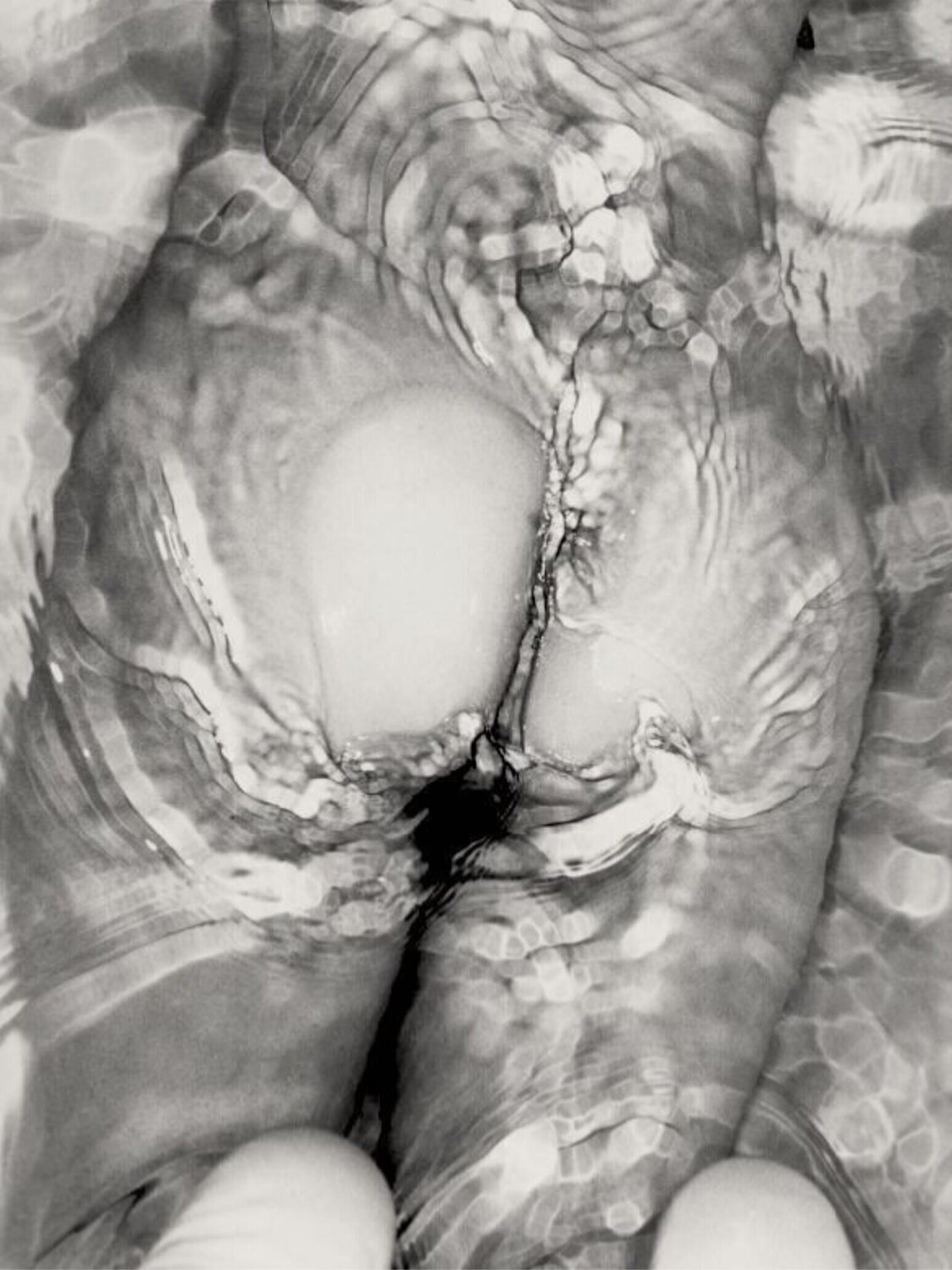 Untitled (Erotos) Nobuyoshi Araki
