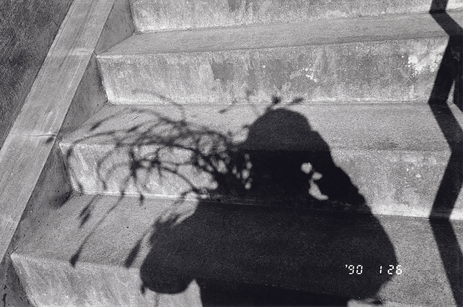 Untitled, from the series »Sentimental Journey / Winter Journey« Nobuyoshi Araki Fotografie zu verkaufen