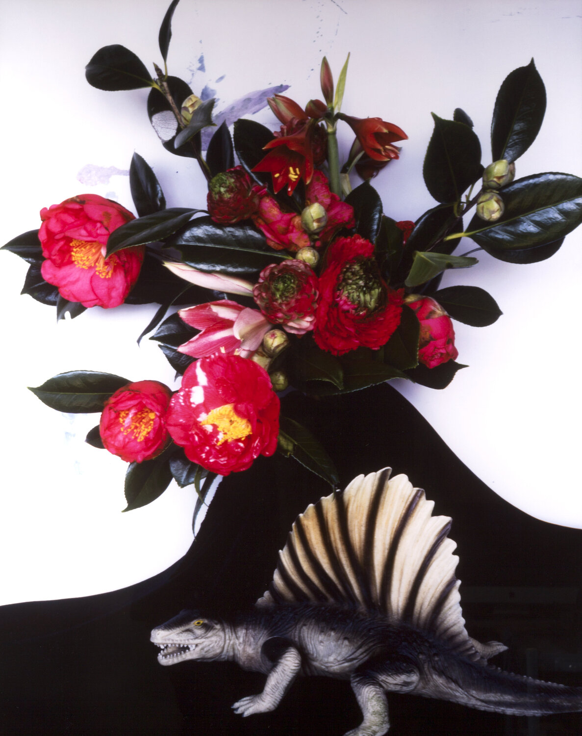 Daraku-en Nobuyoshi Araki