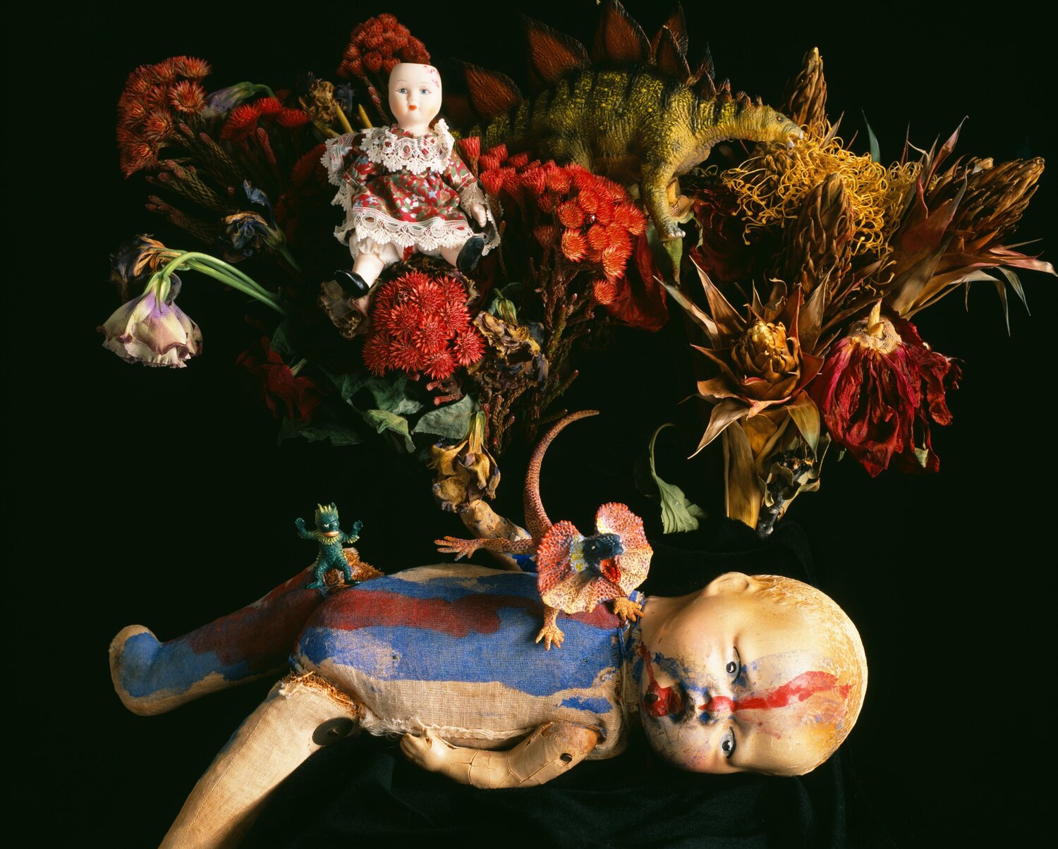qARADISE Nobuyoshi Araki