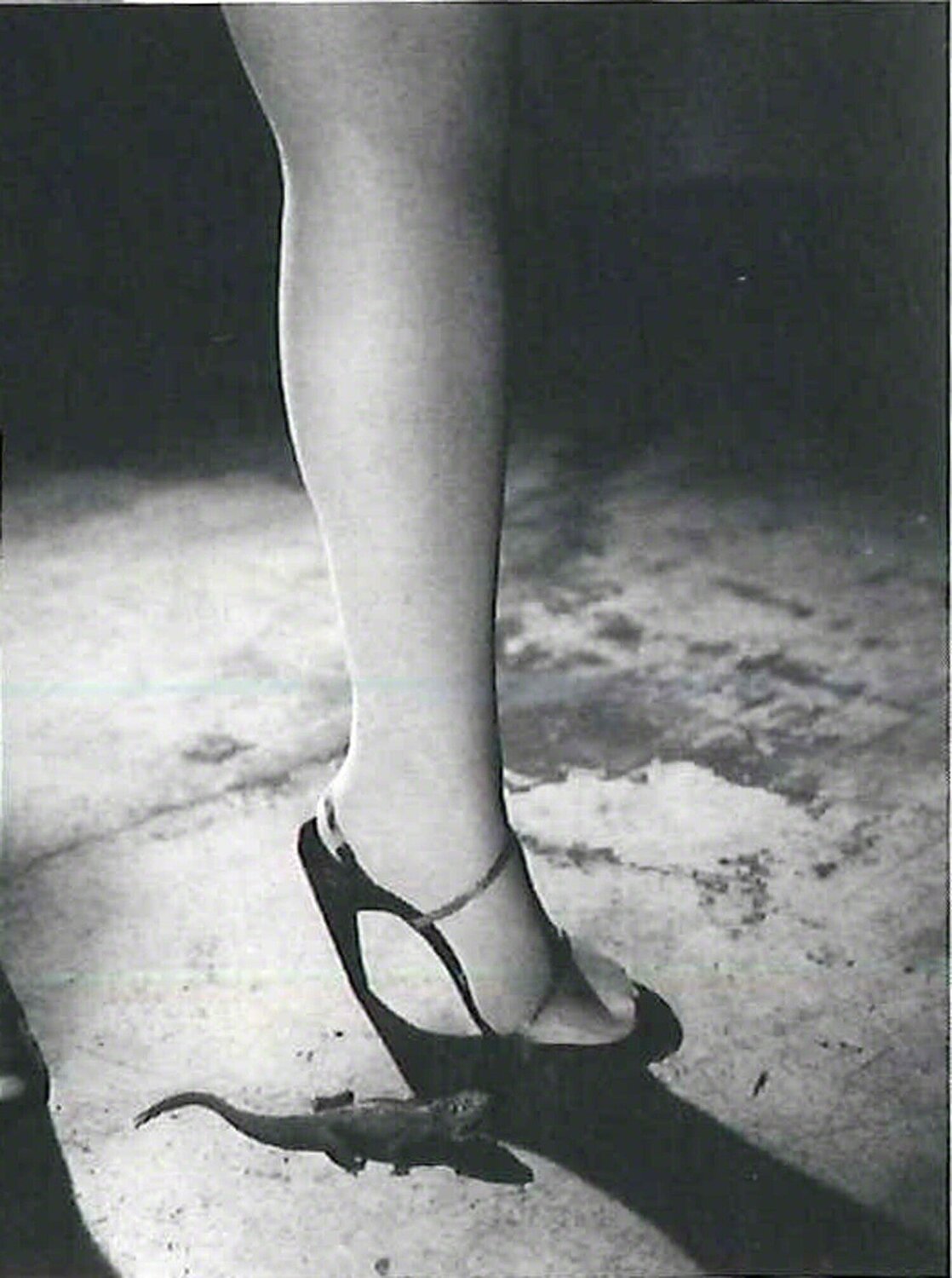 MYTHOLOGY Nobuyoshi Araki