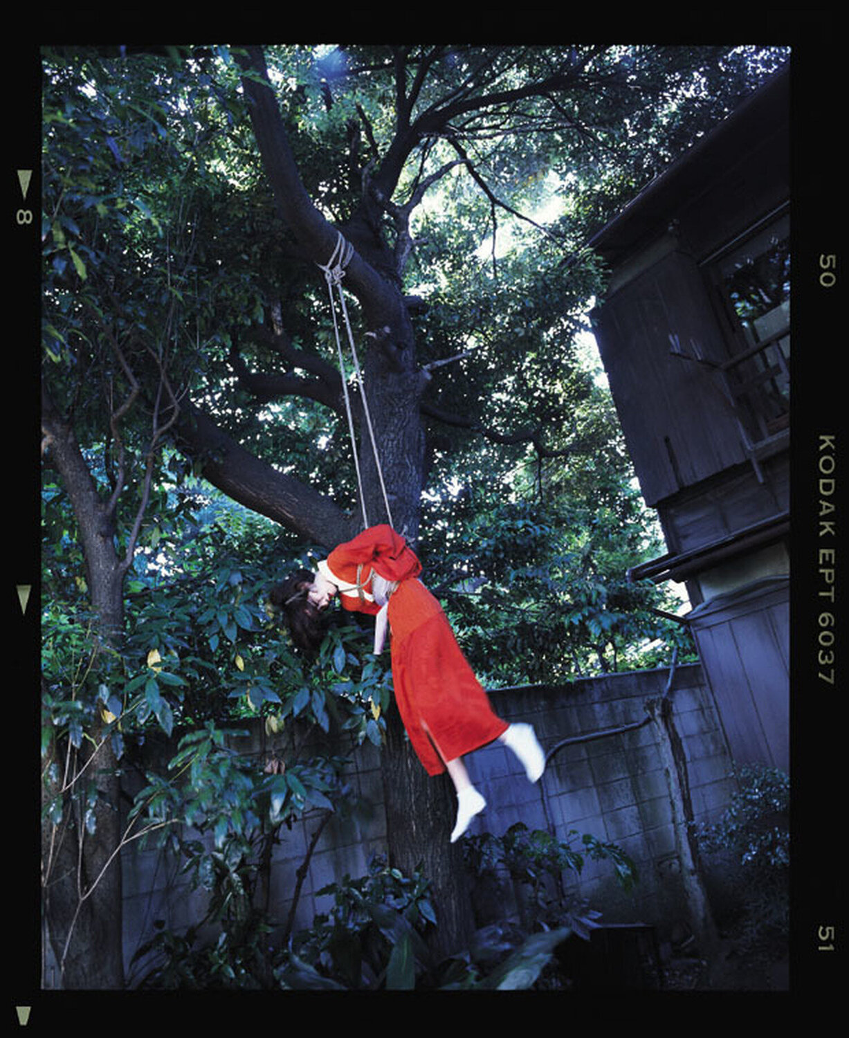 67 Shooting Back #GDN160 Nobuyoshi Araki
