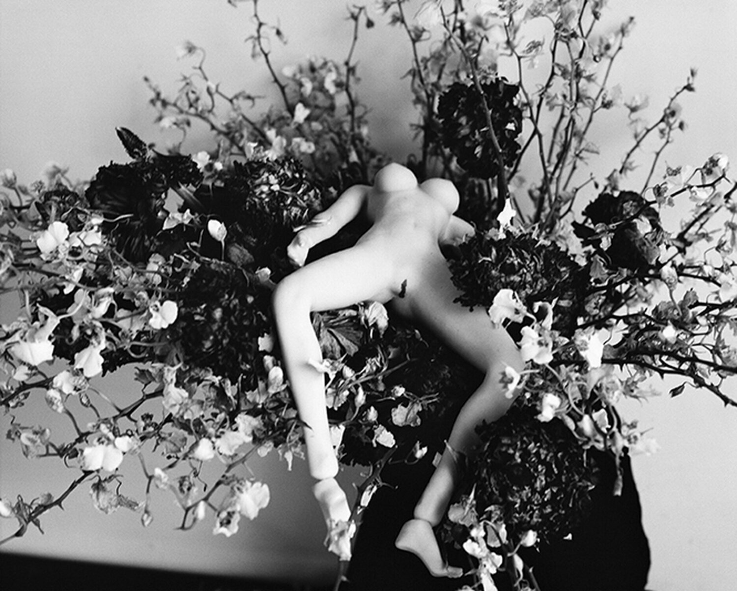 Love-Dream, Love-Nothing #025 Nobuyoshi Araki