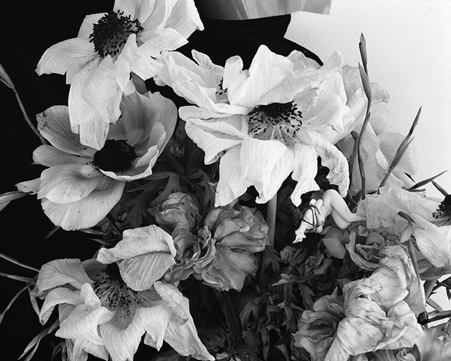 Love-Dream, Love-Nothing #011 Nobuyoshi Araki