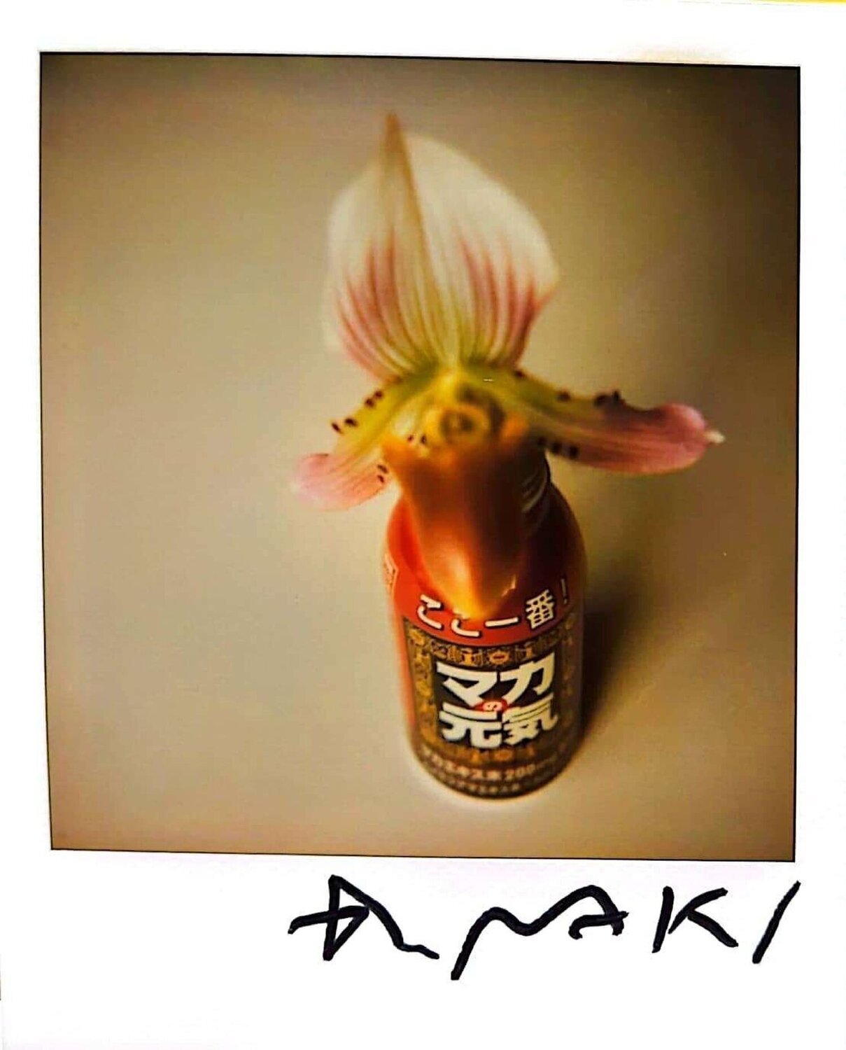 UNTITLED 19 Nobuyoshi Araki