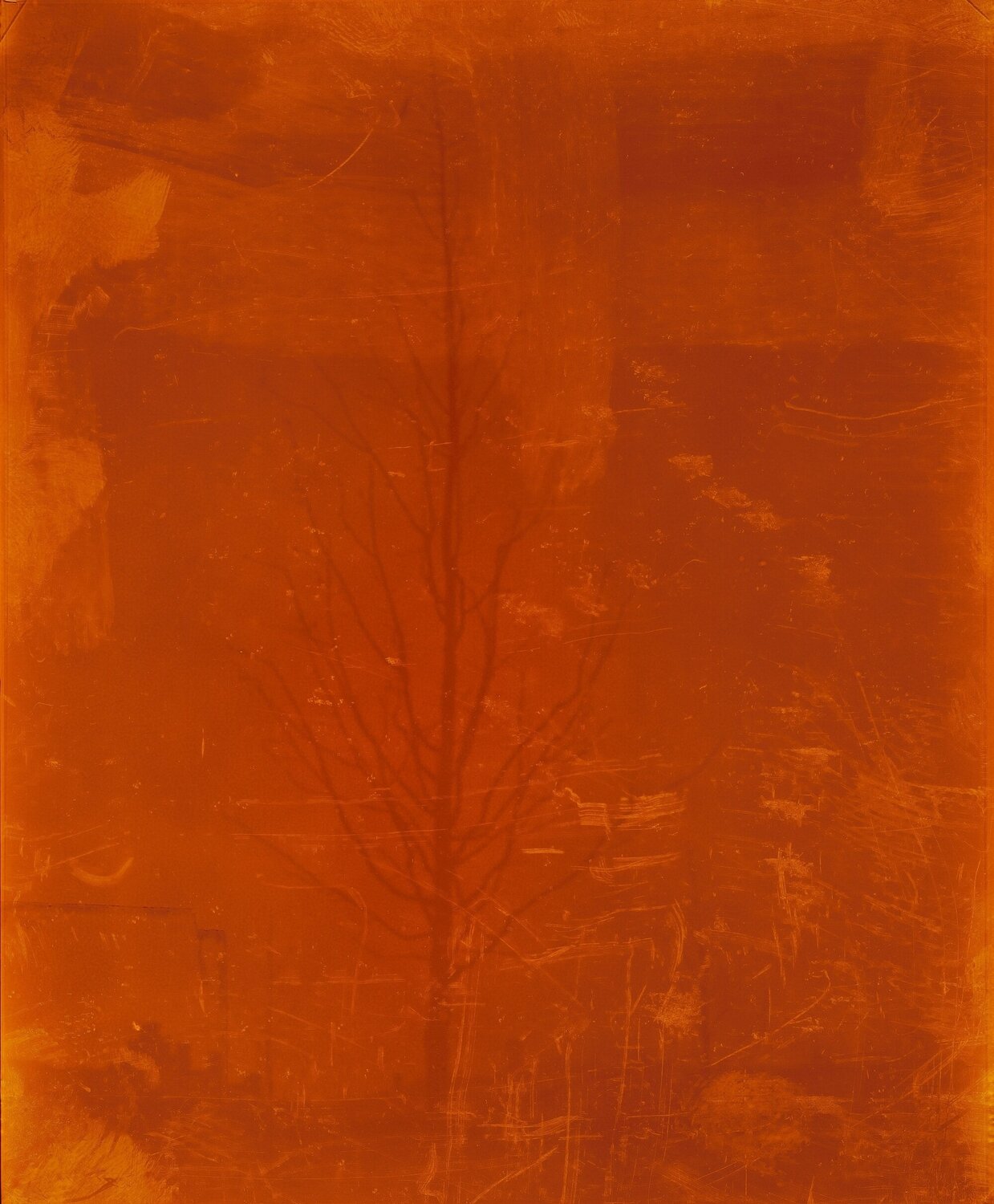 Oil on Canvas Nr. 3 Landscape in broken Negative Ola Kolehmainen Fotografie zu verkaufen
