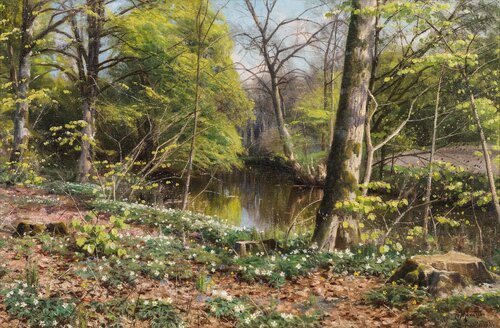 Blooming Anemones van Peder Mørk Mønsted, Schilderij te koop op Singulart