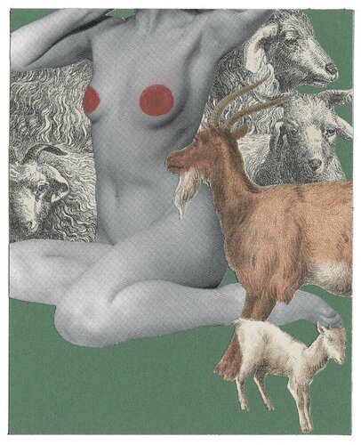 Mae Rose-Cottage Draws Circles di Peter Blake, Stampa in vendita su Singulart
