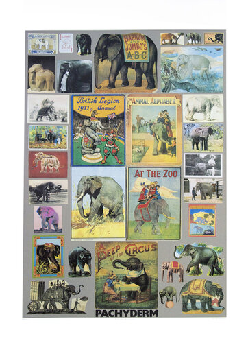P is for Pachyderm van Peter Blake, Afdruk te koop op Singulart