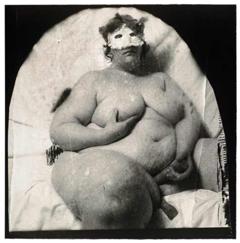 Carrot Cake #1 par Peter Blake, Photographie en vente sur Singulart