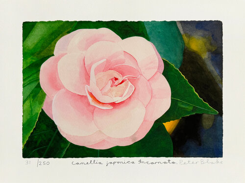 Archival digital print on wove paper di Peter Blake, Stampa in vendita su Singulart