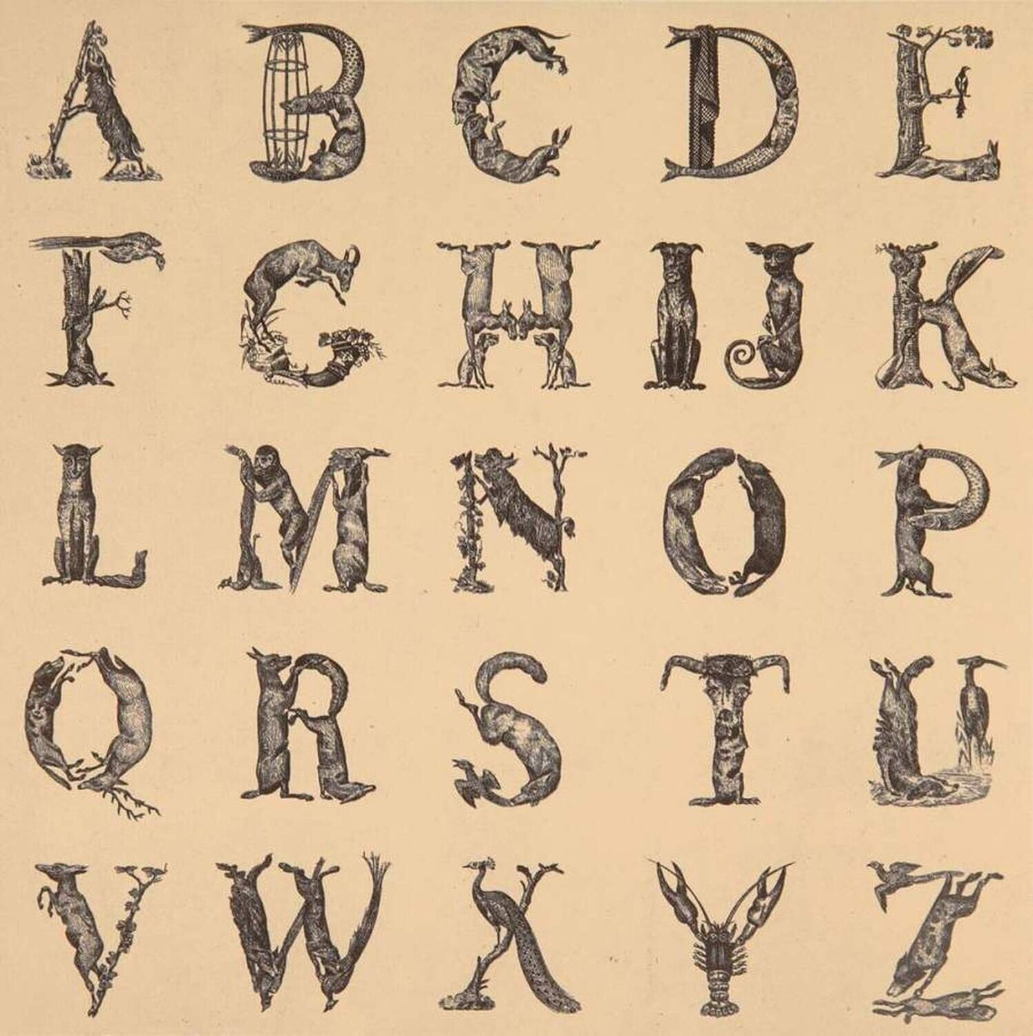 Appropriated Alphabets 12 Peter Blake Stampa in vendita