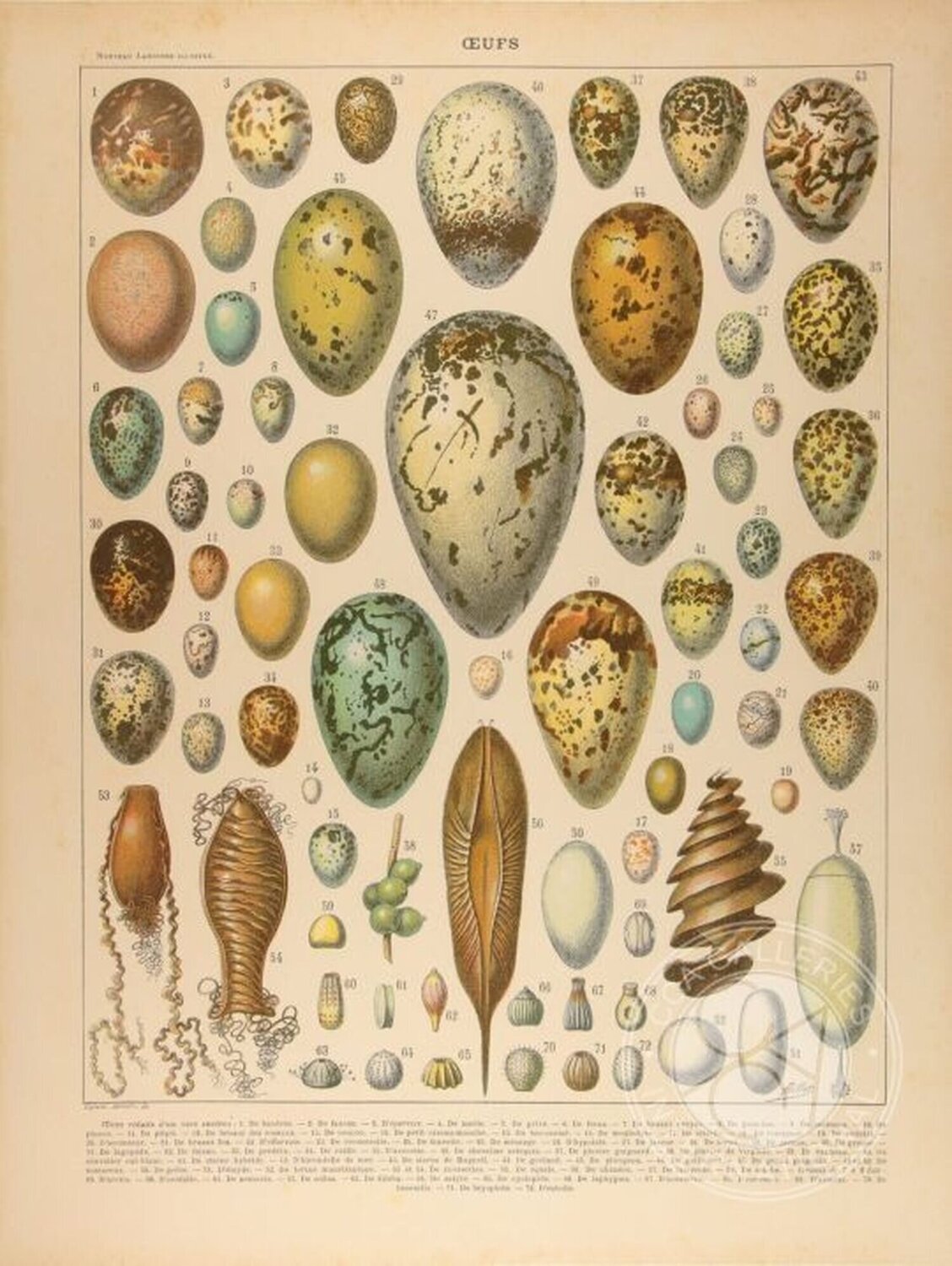 Found Art: Eggs Peter Blake Afdruk te koop