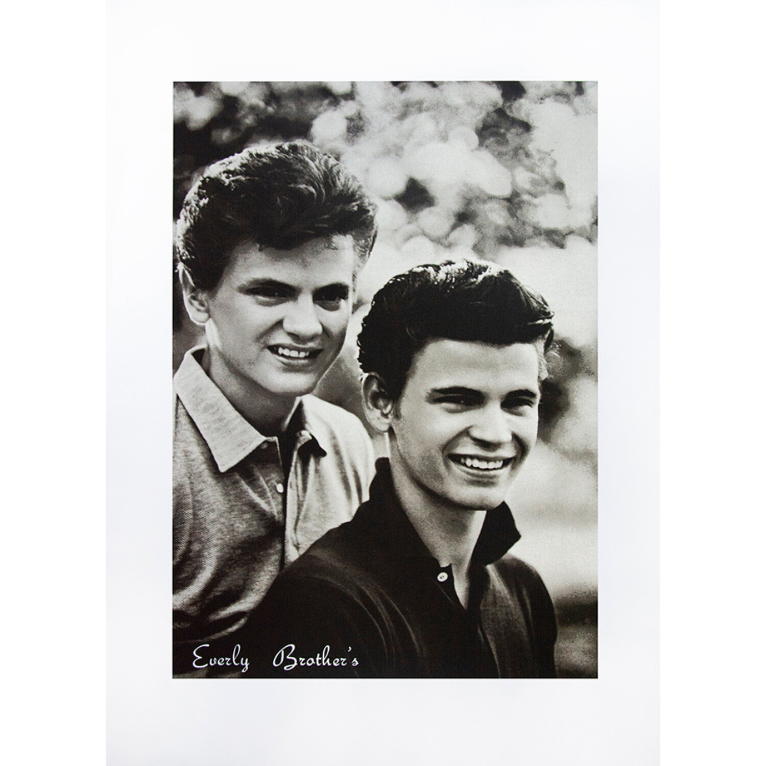 E is for Everly Brothers, from Alphabet Series Peter Blake Stampa in vendita