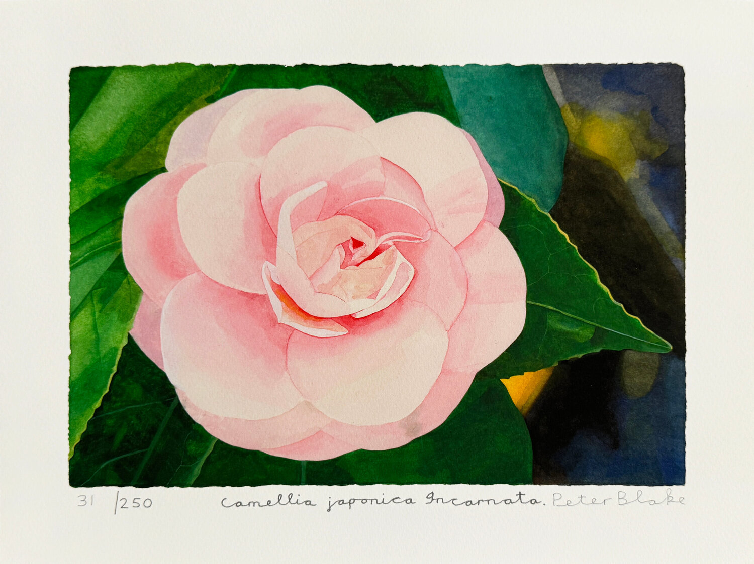 Archival digital print on wove paper Peter Blake Stampa in vendita