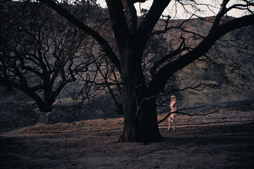Lacy by Philip-Lorca diCorcia, Photography for Sale on Singulart
