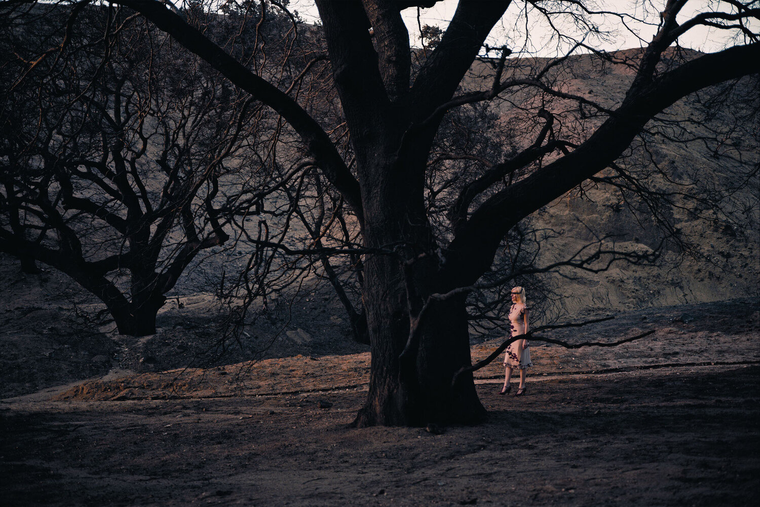 Lacy Philip-Lorca diCorcia Fotografie zu verkaufen
