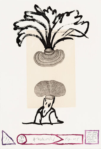 Flore danoise 05 – Panaches di Pierre Alechinsky, Stampa in vendita su Singulart