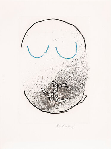 Pointes Planche IX bis par Pierre Alechinsky, Édition en vente sur Singulart