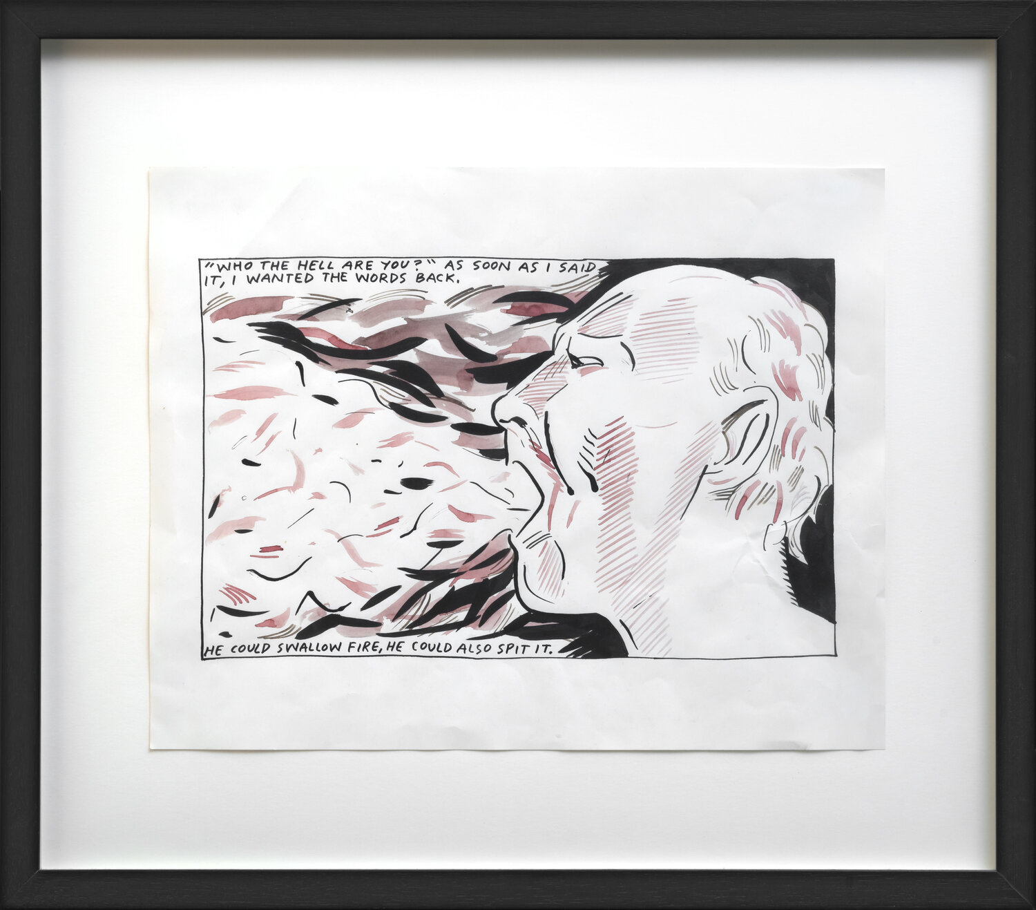 Who the hell are you? Raymond Pettibon