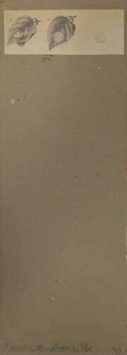 Shirtboards Morocco, Italy by Robert Rauschenberg, Print for Sale on Singulart