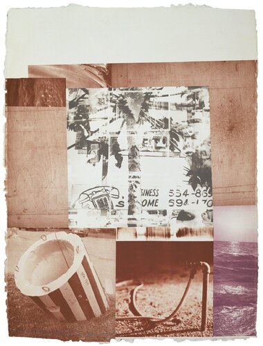 Rookery Mounds - Gray Garden by Robert Rauschenberg, Print for Sale on Singulart