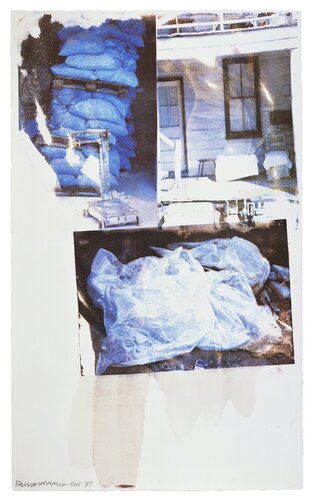 Daydream (Speculations) by Robert Rauschenberg, Print for Sale on Singulart