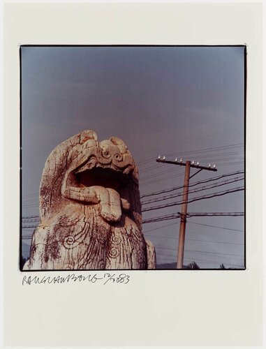 Study for Chinese Summerhall - Dog & Wires van Robert Rauschenberg, Fotografie te koop op Singulart