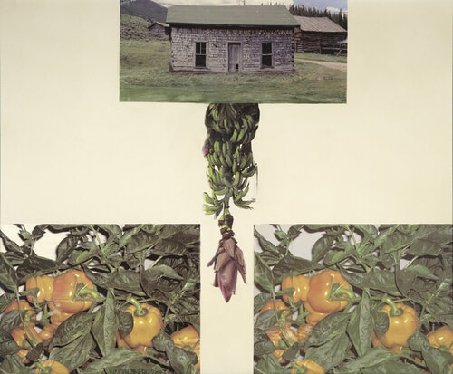 Vitamin van Robert Rauschenberg, Andere media te koop op Singulart