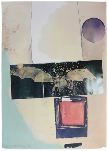 Rays van Robert Rauschenberg, Afdruk te koop op Singulart