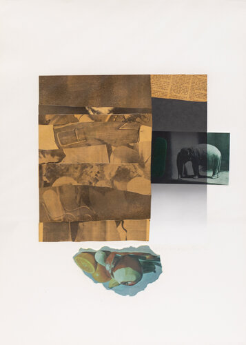 Horsefeather Thirteen X van Robert Rauschenberg, Werk op papier te koop op Singulart
