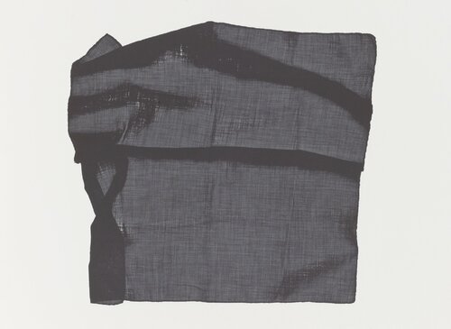 Veils 4 van Robert Rauschenberg, Afdruk te koop op Singulart