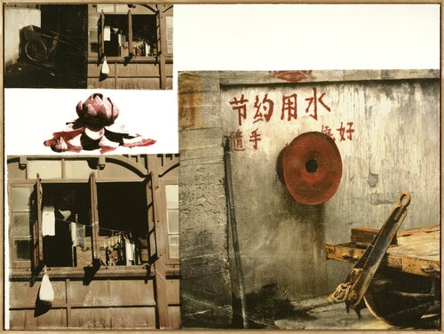 Lotus V (The Lotus Series) van Robert Rauschenberg, Afdruk te koop op Singulart