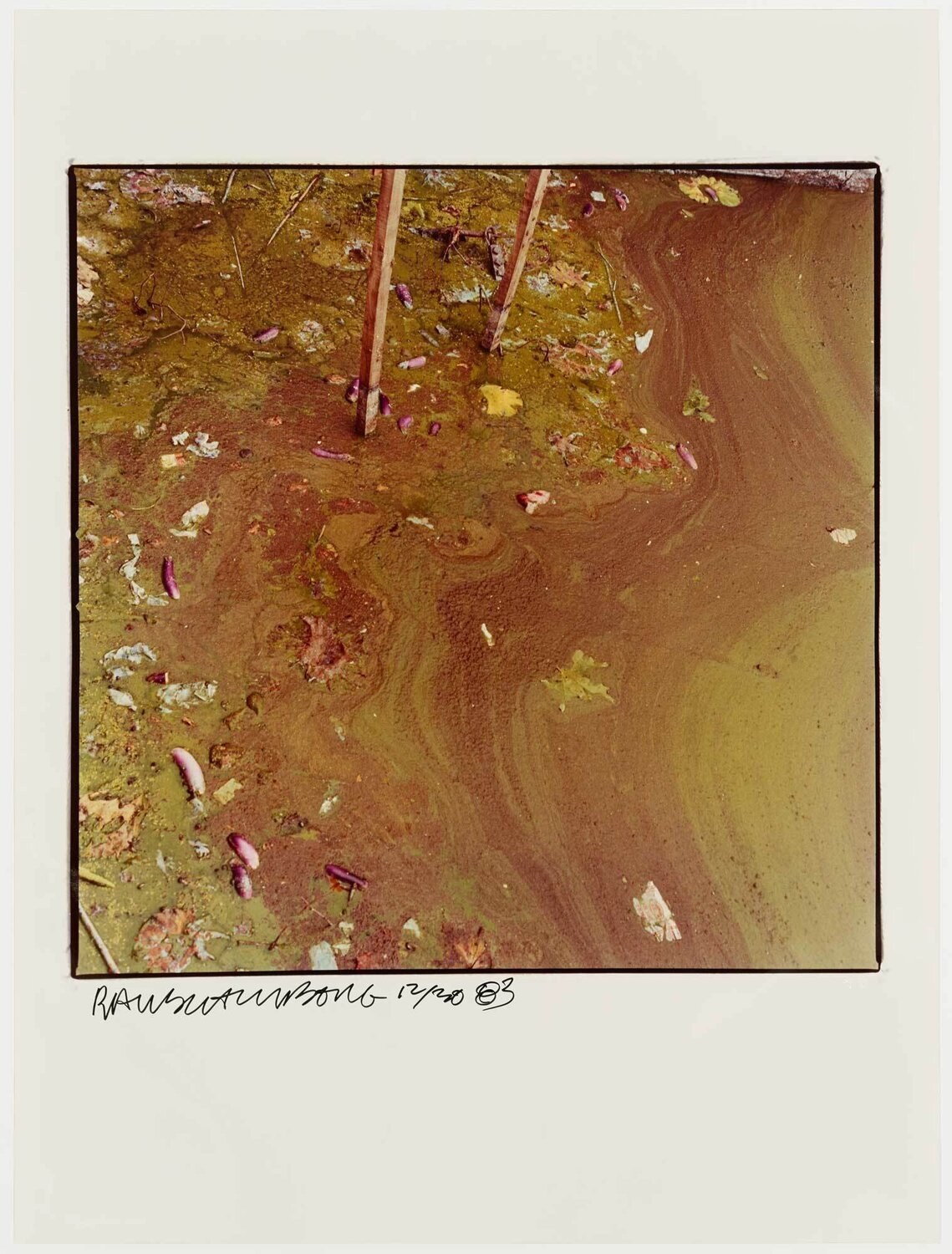 Study for Chinese Summerhall - Green Mud Robert Rauschenberg Fotografia in vendita