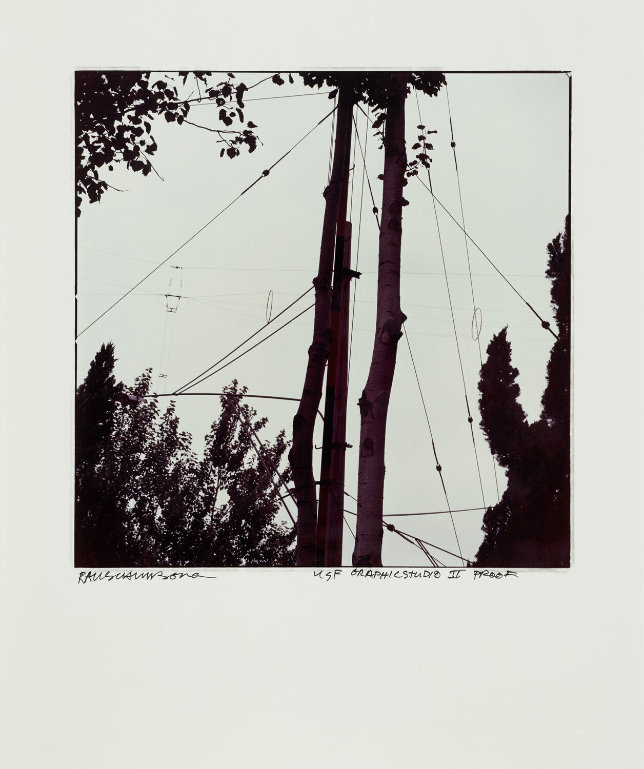 Study for Chinese Summerhall - Wires & Tree Robert Rauschenberg Fotografia in vendita