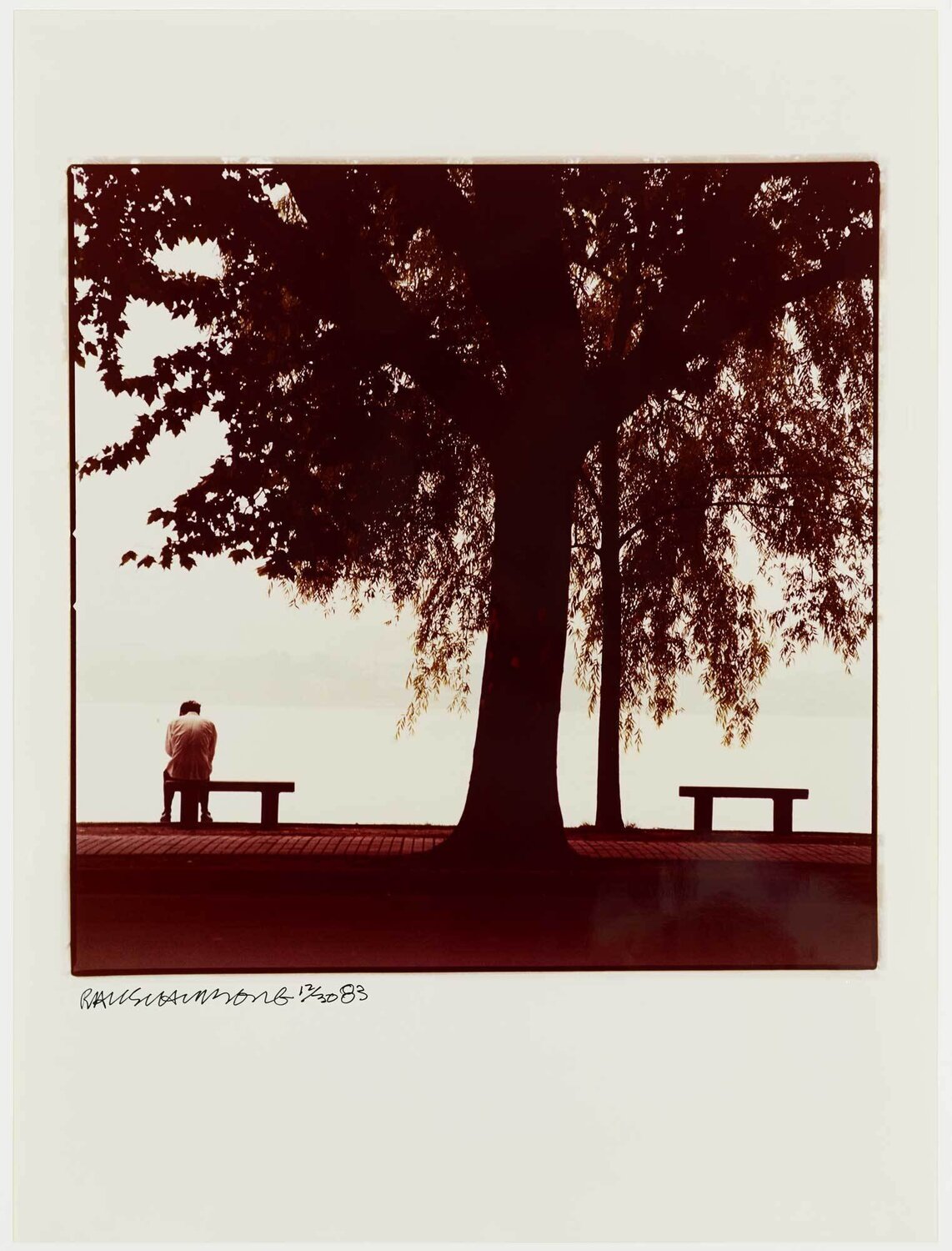 Study for Chinese Summerhall - Tree & Man Robert Rauschenberg Fotografia in vendita