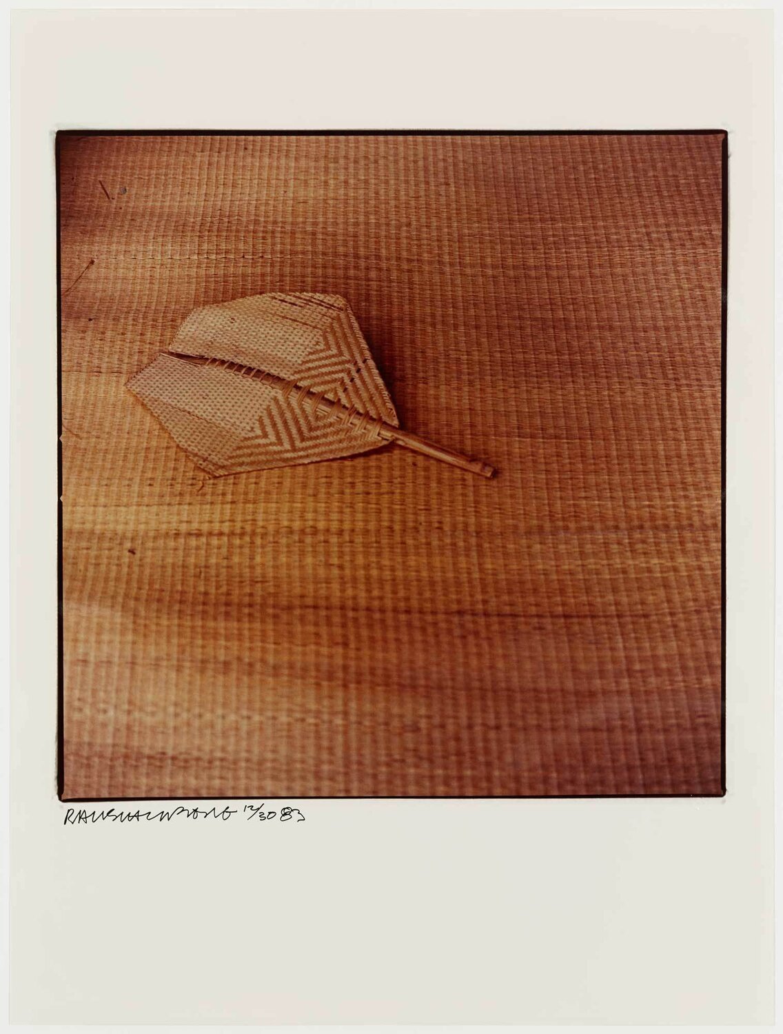 Study for Chinese Summerhall - Fan Robert Rauschenberg Fotografia in vendita